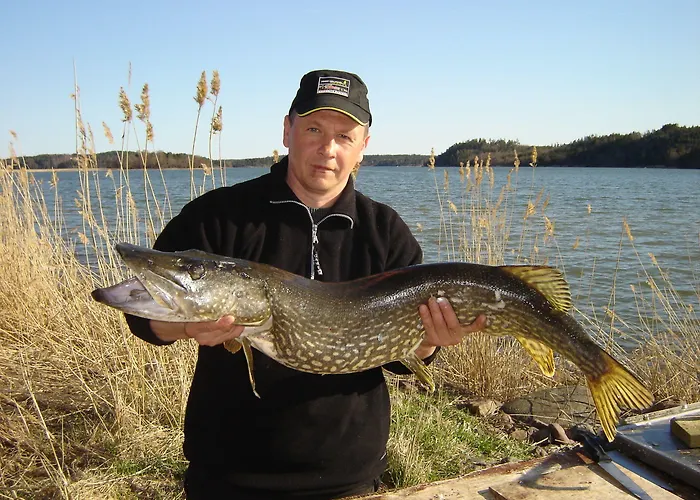 Hjortoe & Stockhus Finstrom